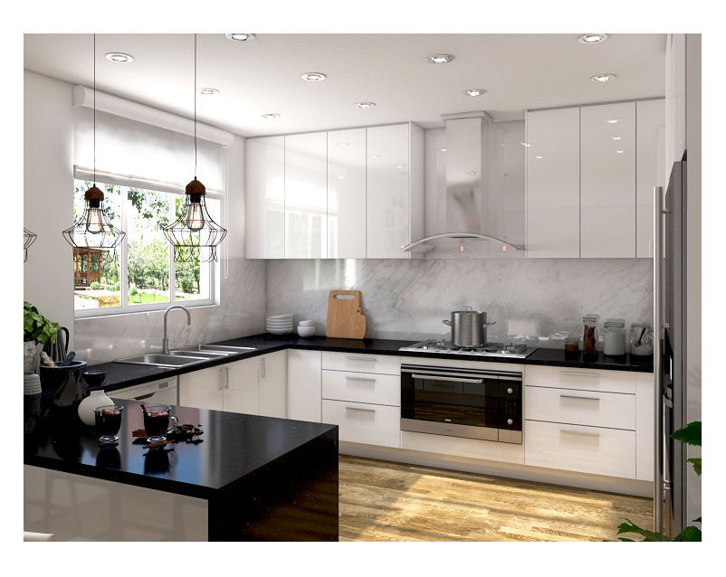 Modern Kitchen and Kitchen Renovation Design and Tips